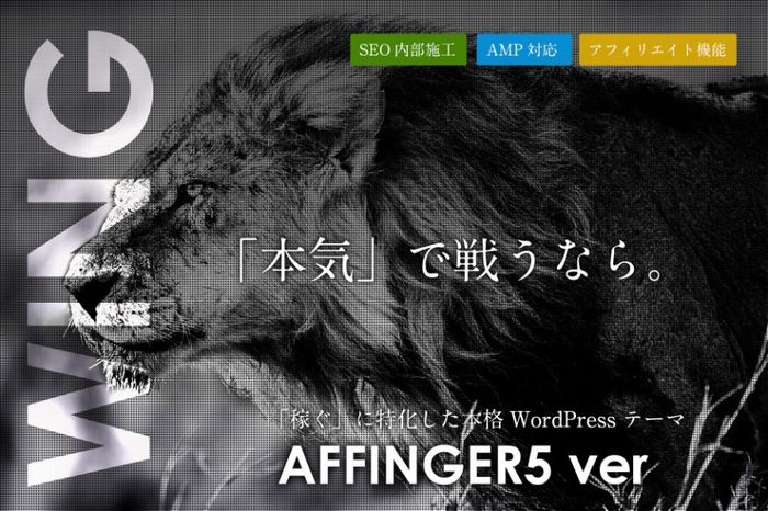 AFFINGER5